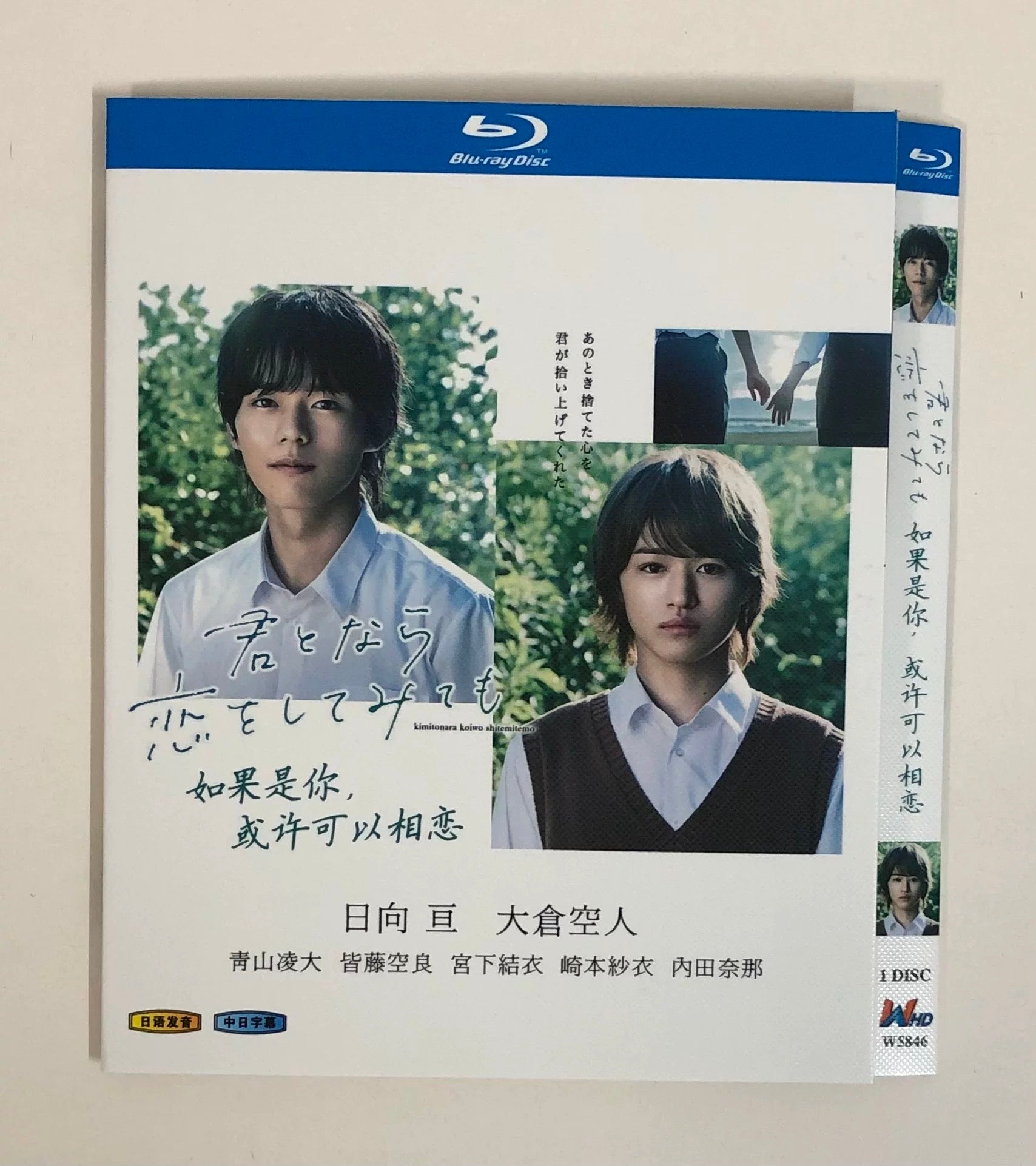 テレビドラマ「君となら恋をしてみても」 DVD ブルーレイ Blu-ray 高画質 海外正規品 ワールドTVブルーレイ専門店